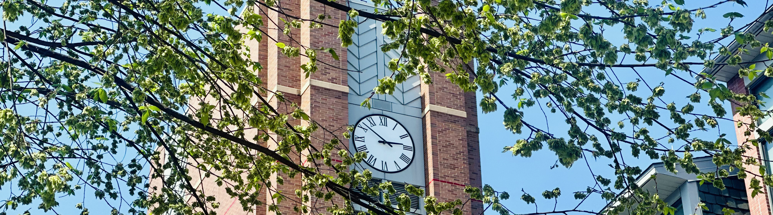 Close-up of the Honors College clock tower