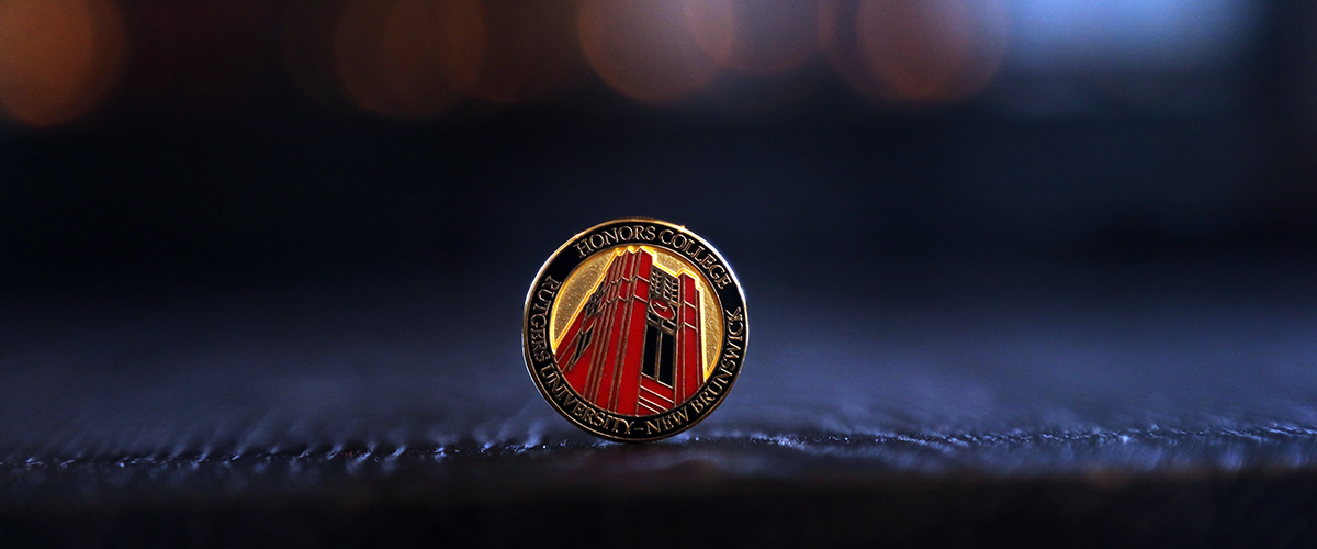 Photo of merit pin