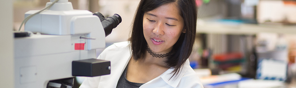 Honors College Student, Shannon Cheung, working in a lab