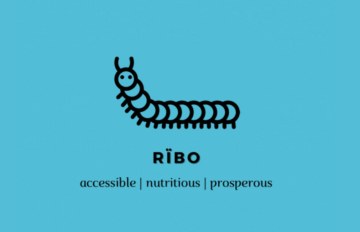RIBO visual - Innovation Lab project