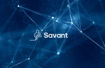 Savant visual - Innovation Lab project